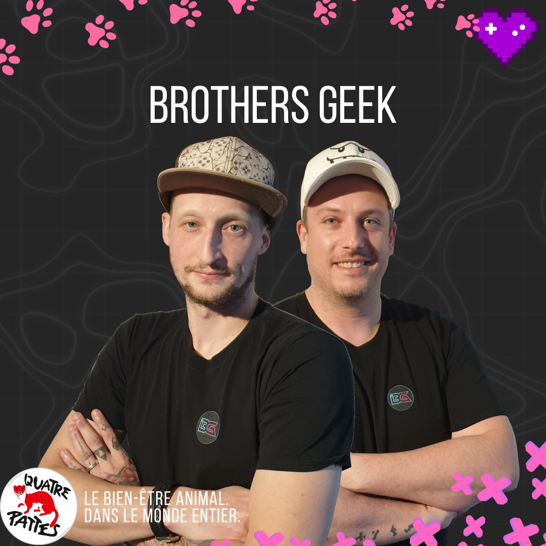 Brothersgeek